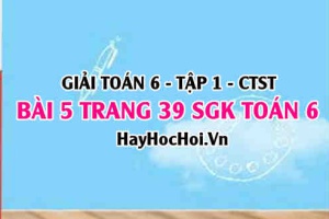 Giải bài 5 trang 39 Toán 6 Tập 1 SGK Chân trời sáng tạo